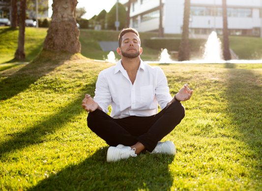 Meditation is necessary