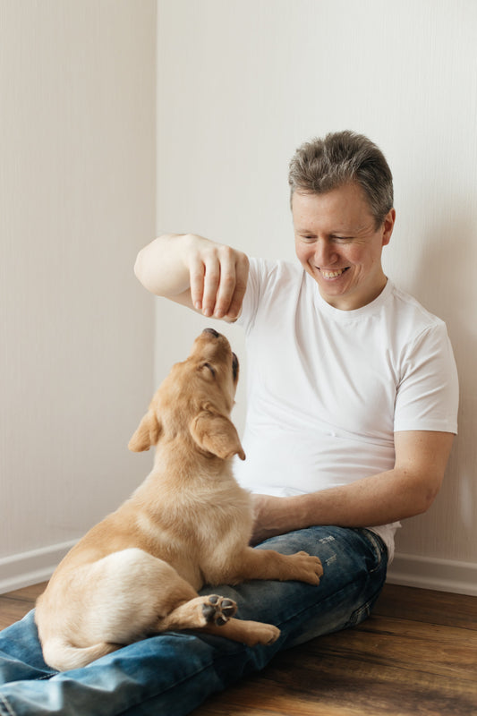 dog puppy training