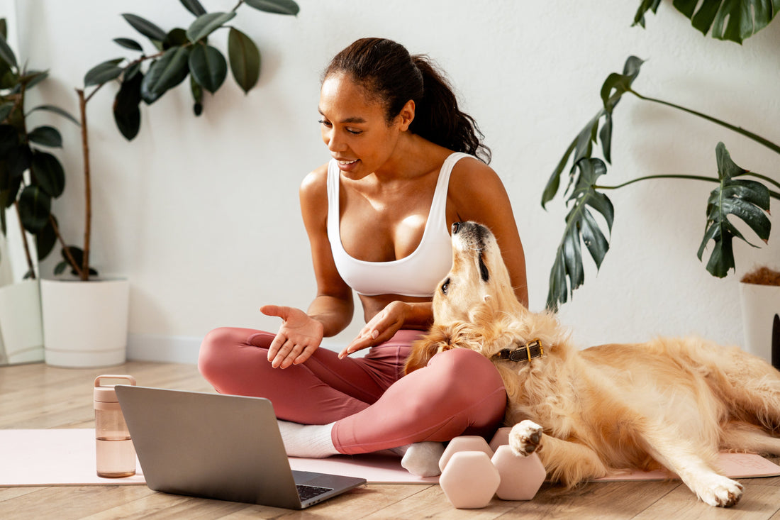 dog training online