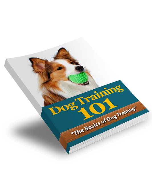 Dog training basics