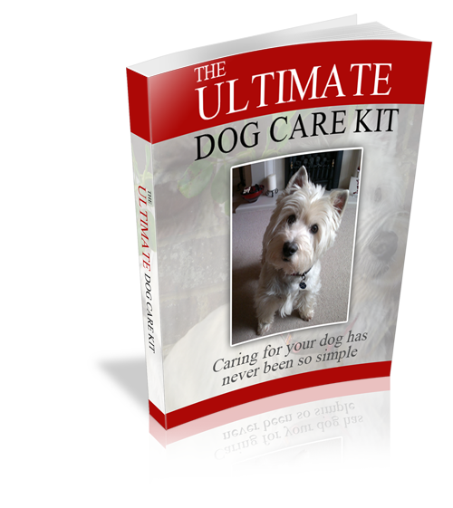 The Ultimate Dog Care