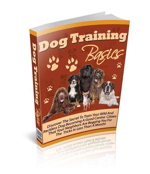 Dog training basics