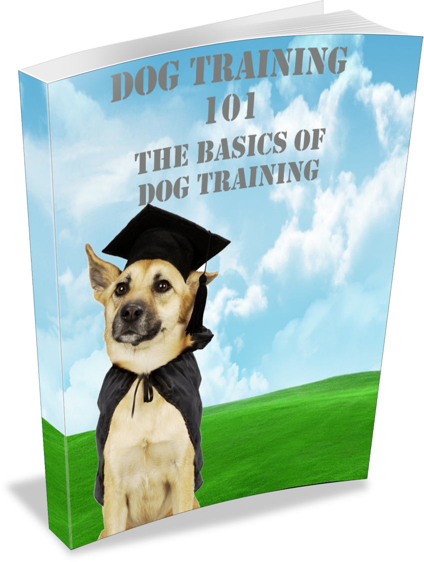 Dog Training Essentials