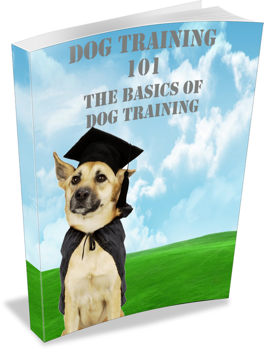 Dog Training Essentials